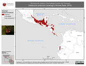 1002 x 774 píxeles