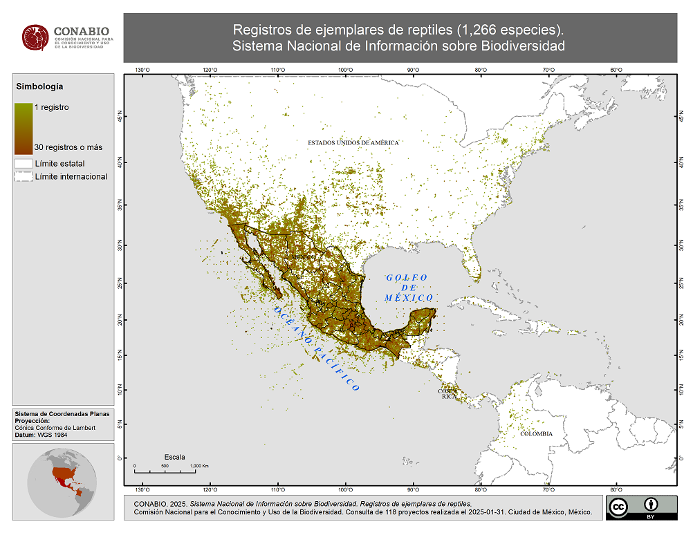 Muestra de los lagartos, serpientes y anfibios registrados en el