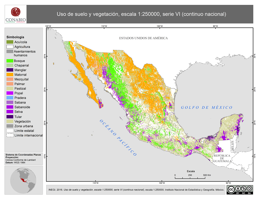 Uso del suelo y vegetación, escala 1:250000, serie VI (continuo nacional)